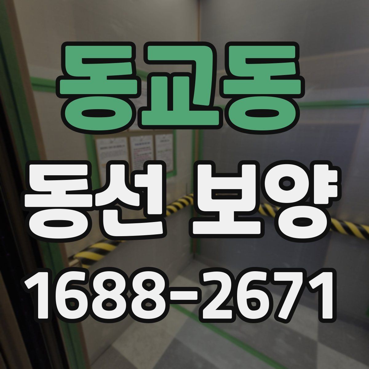 동교동 동선 보양 과정별 역할과 확인 포인트