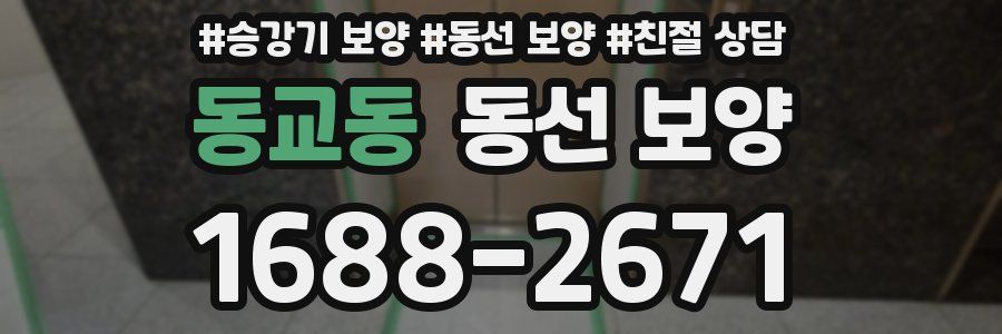 동교동 동선 보양