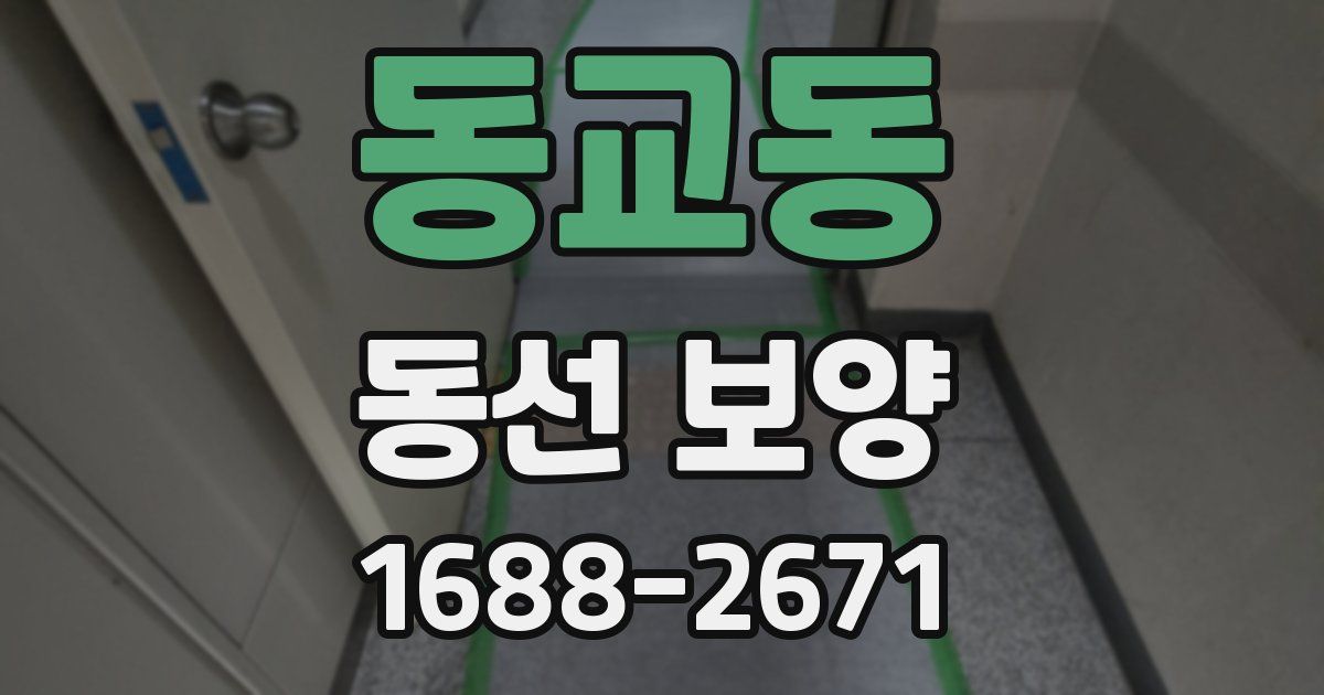 동교동 동선 보양