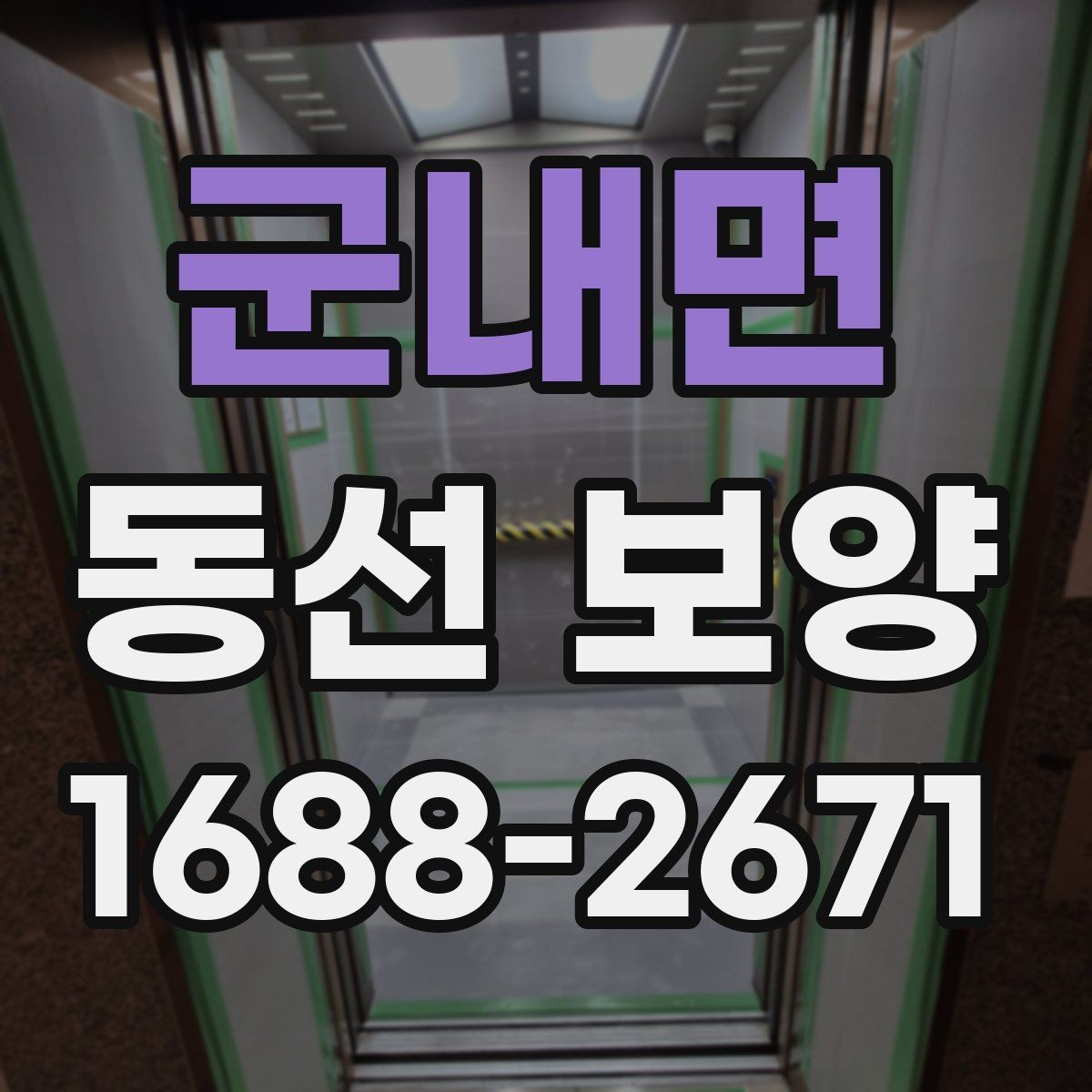 군내면 동선 보양 시 흔히 놓치는 부분들
