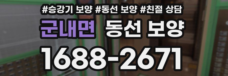 군내면 동선 보양