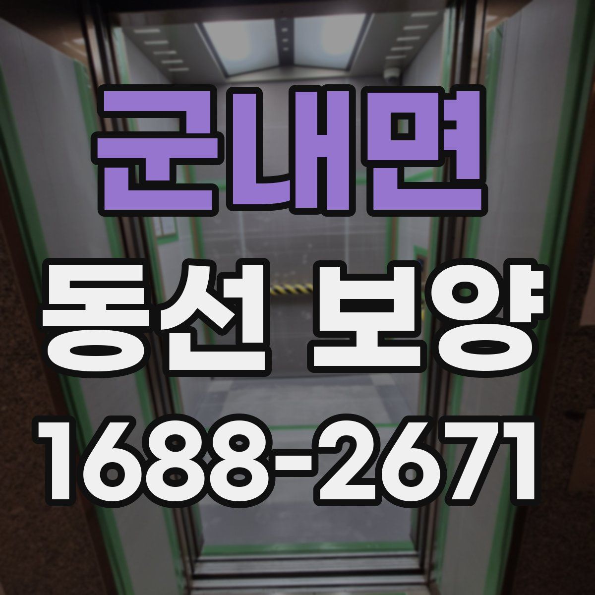 군내면 동선 보양