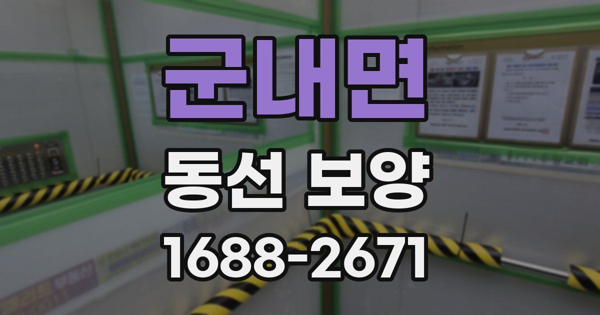 군내면 동선 보양