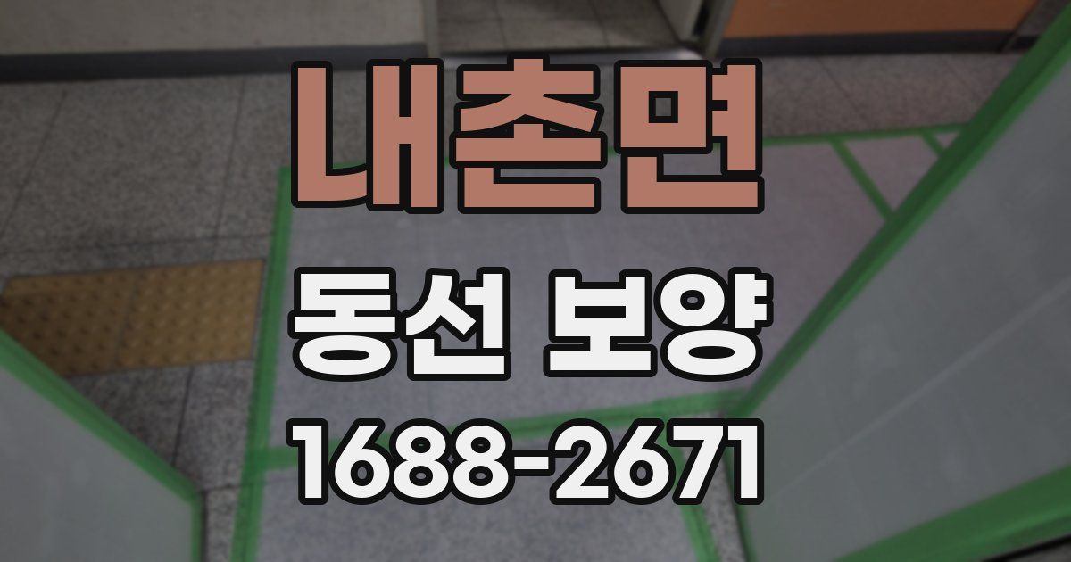 내촌면 동선 보양