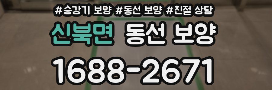 신북면 동선 보양