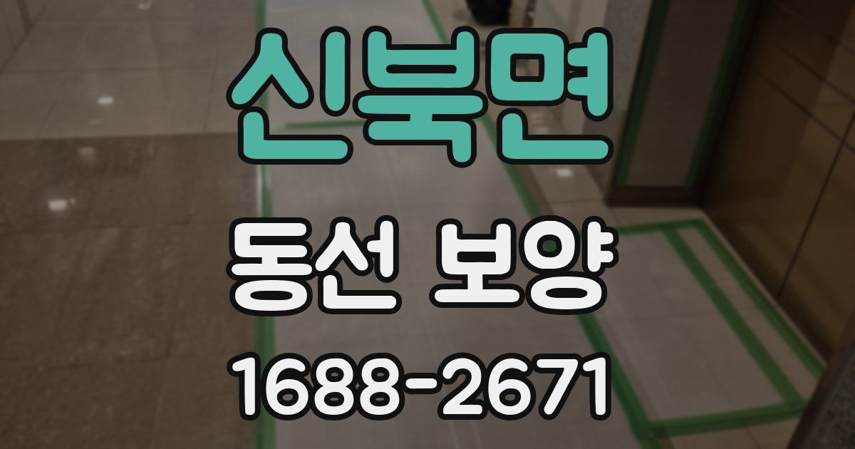 신북면 동선 보양