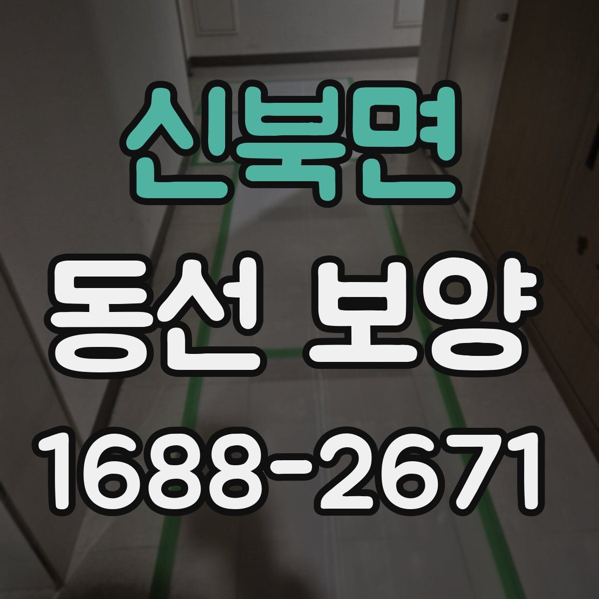 신북면 동선 보양