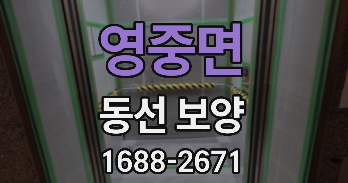 영중면 동선 보양