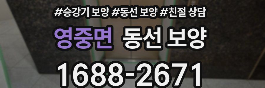 영중면 동선 보양