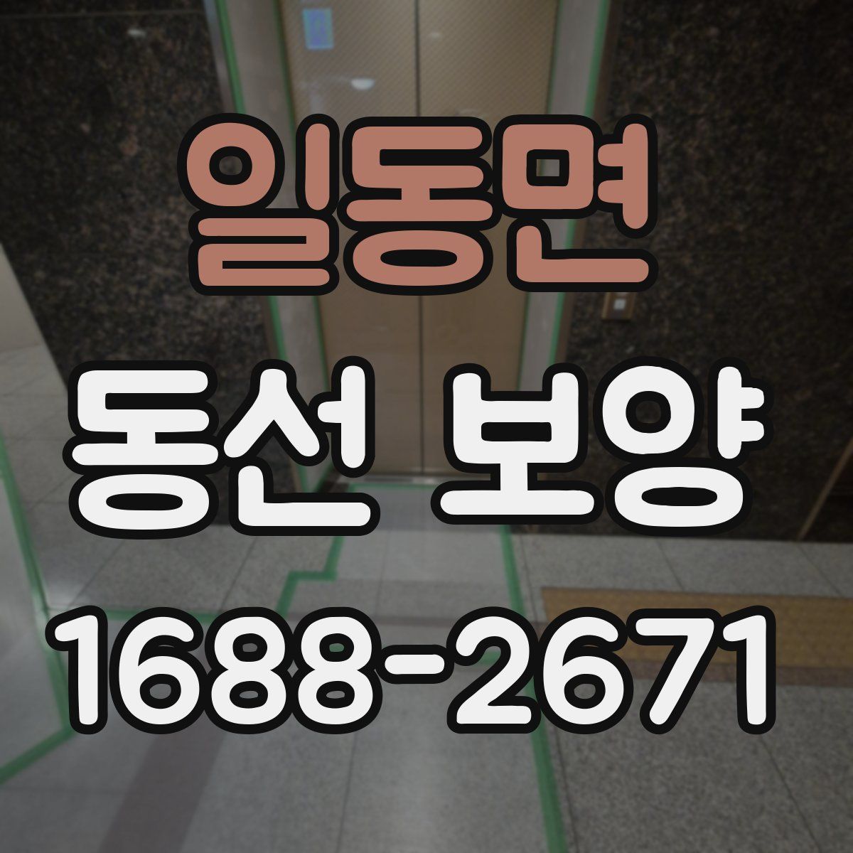 일동면 동선 보양