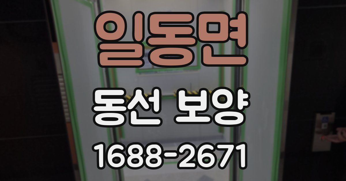 일동면 동선 보양