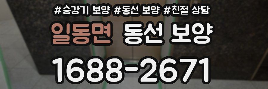 일동면 동선 보양