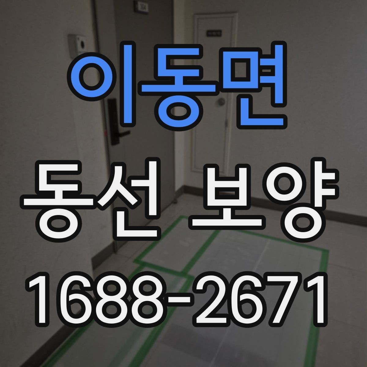 이동면 동선 보양 현장에 맞춘 보호 대책 세우기