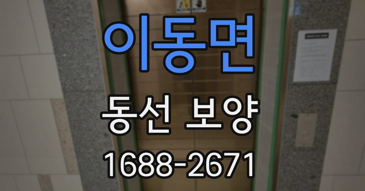 이동면 동선 보양