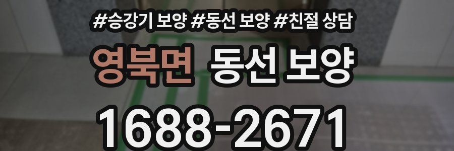 영북면 동선 보양
