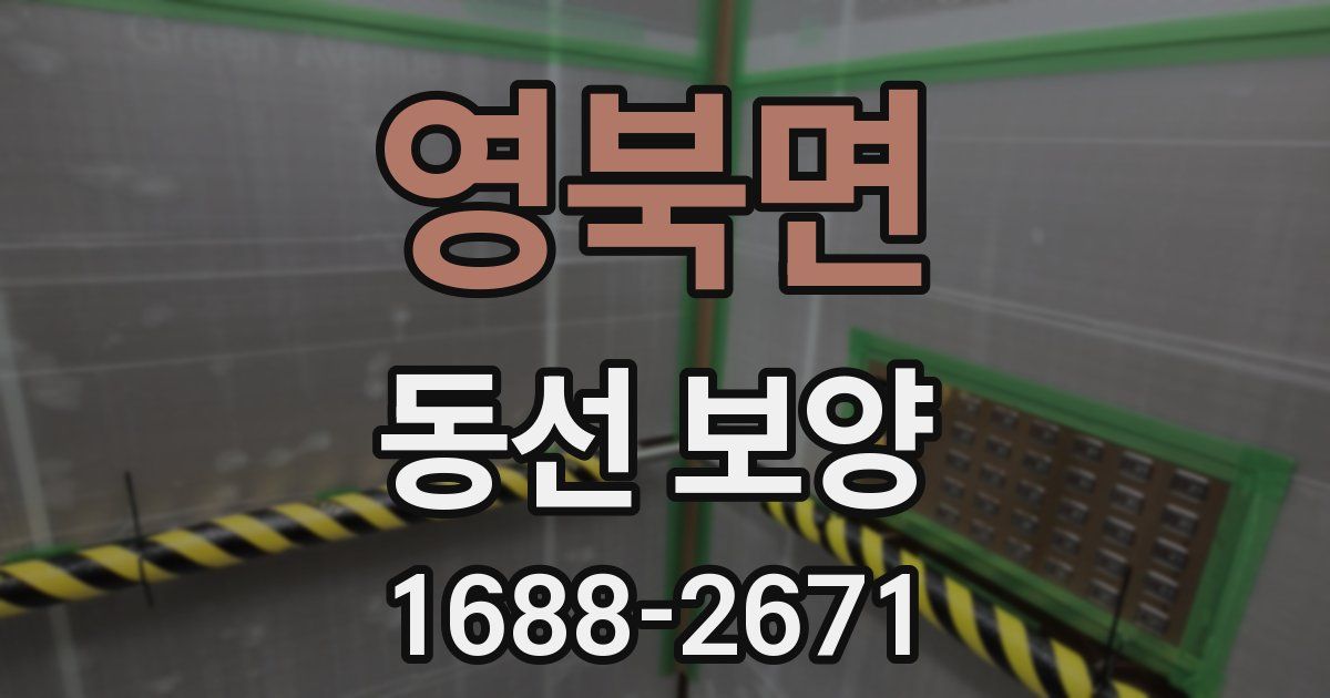 영북면 동선 보양