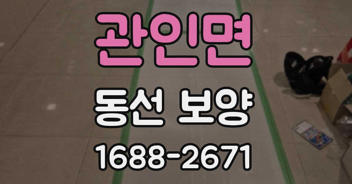 관인면 동선 보양