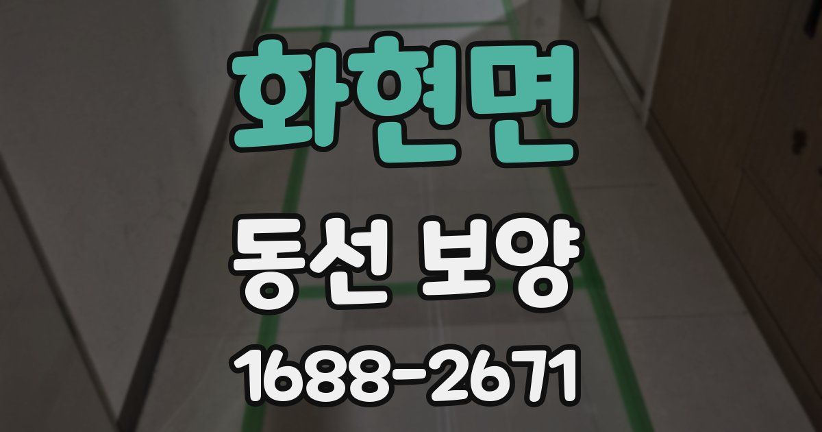 화현면 동선 보양