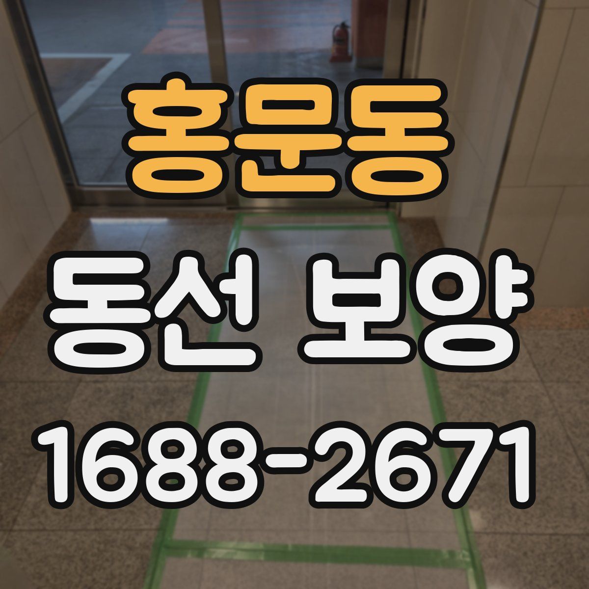 홍문동 동선 보양