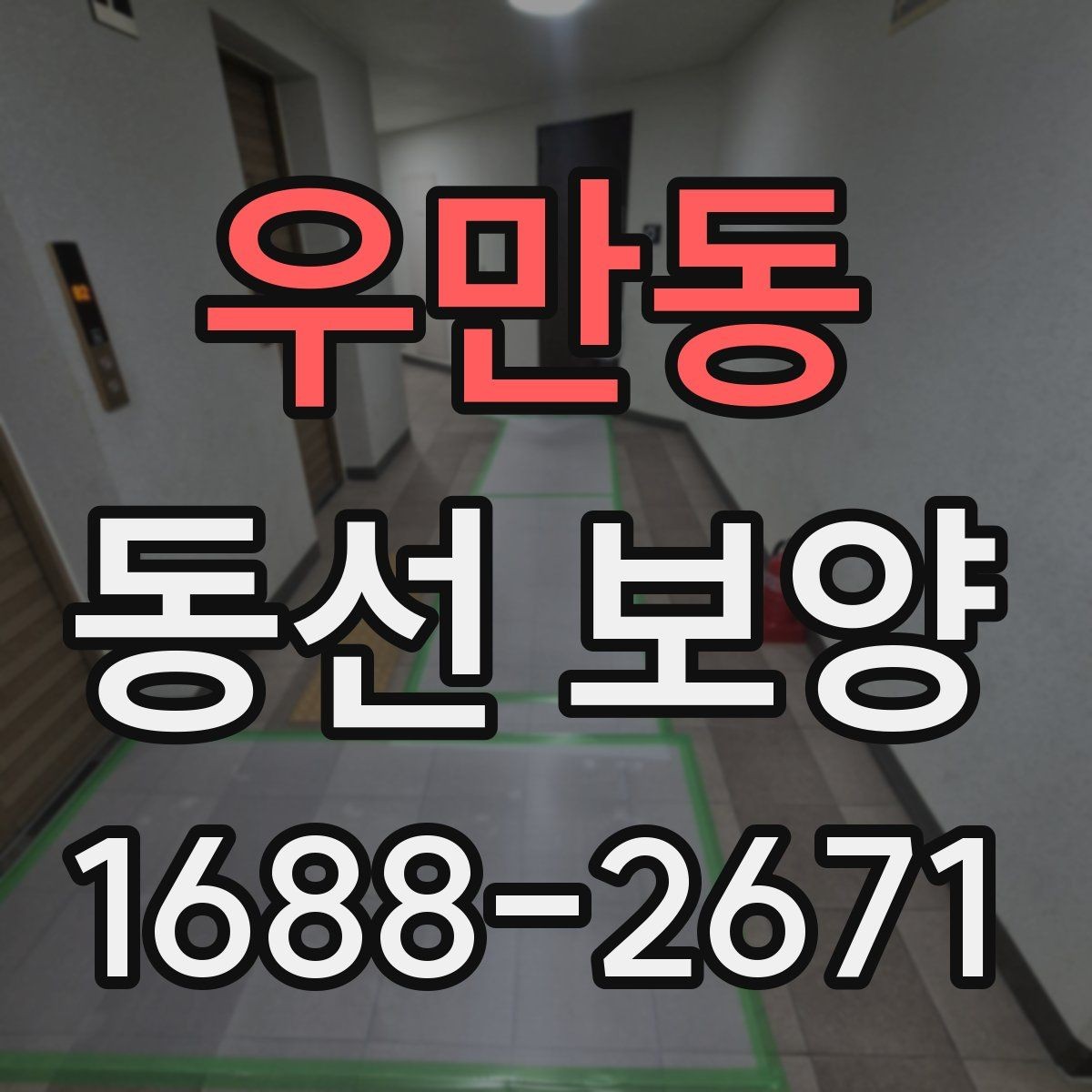 우만동 동선 보양 비용 계산 전에 확인할 부분