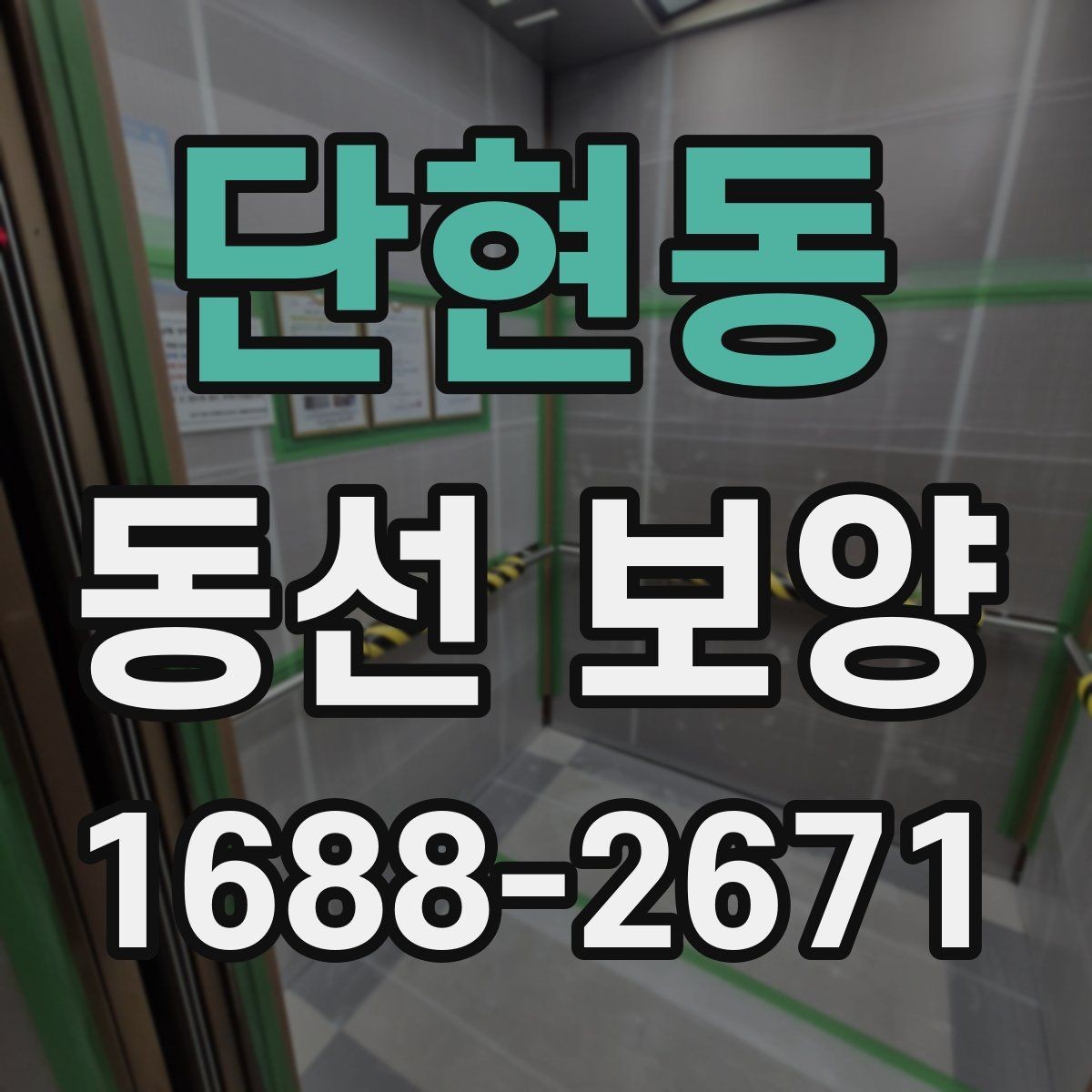 단현동 동선 보양 시공 사례로 보는 준비 포인트