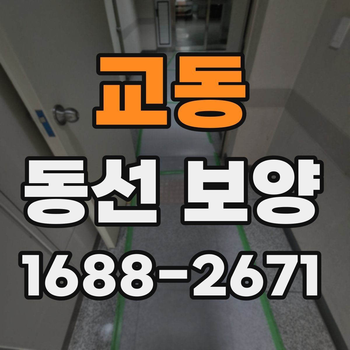 교동 동선 보양 작업의 품질을 높이는 사전 준비