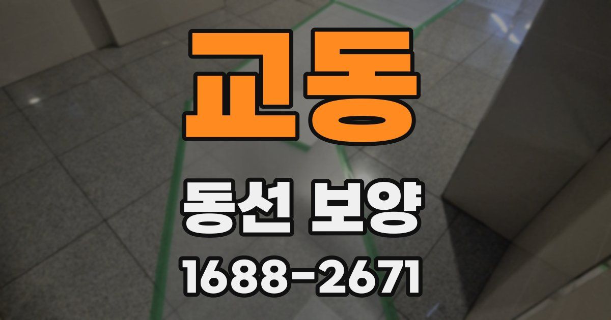교동 동선 보양