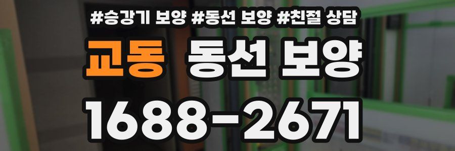 교동 동선 보양