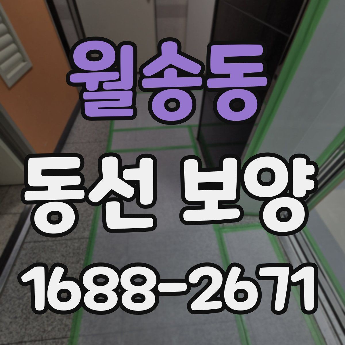 월송동 동선 보양 재료별 특징과 적용 상황