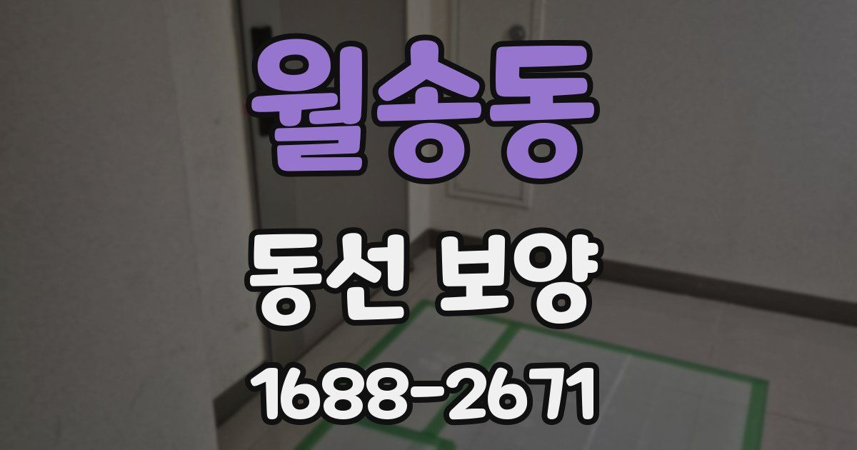 월송동 동선 보양