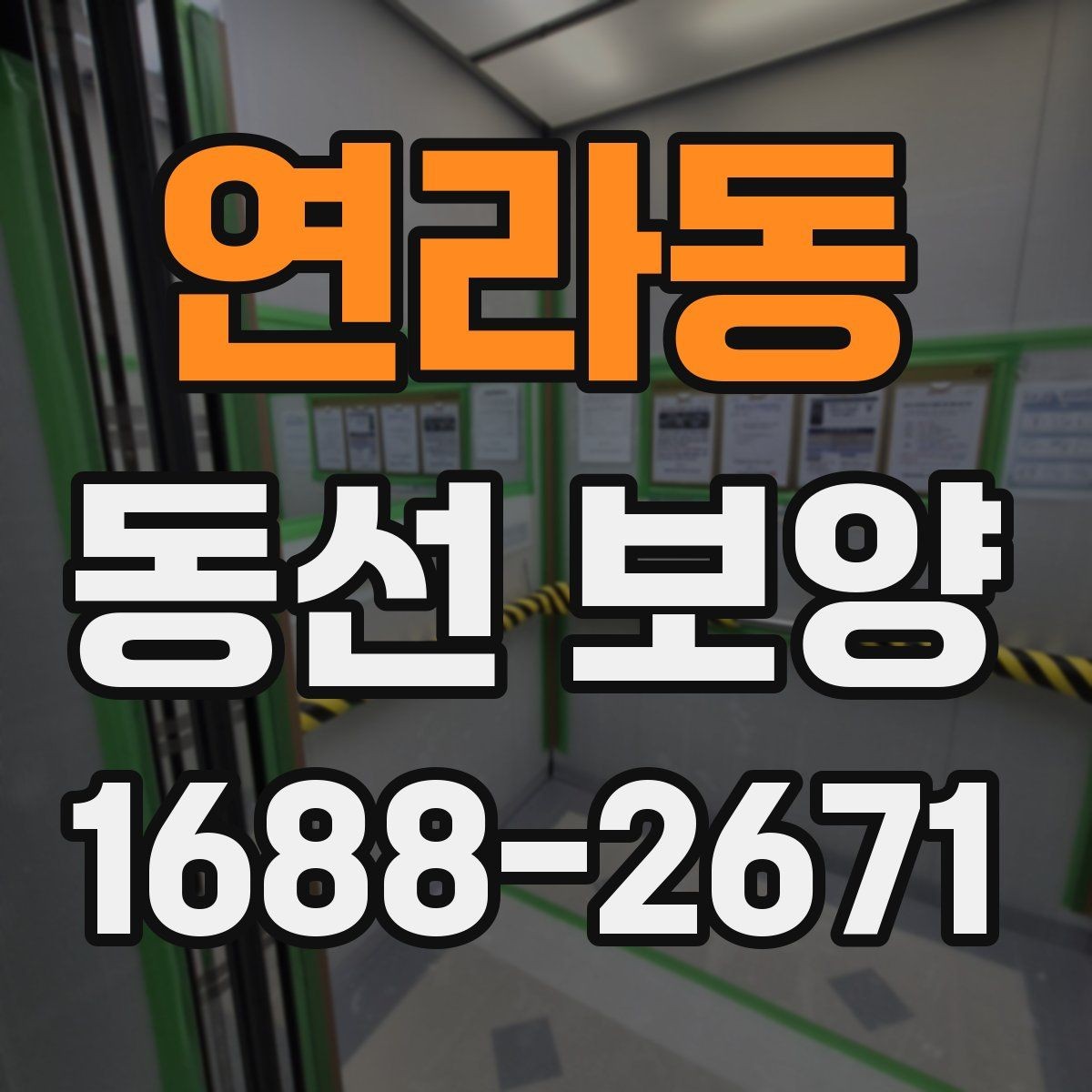연라동 동선 보양 작업 전후 비교로 보는 변화