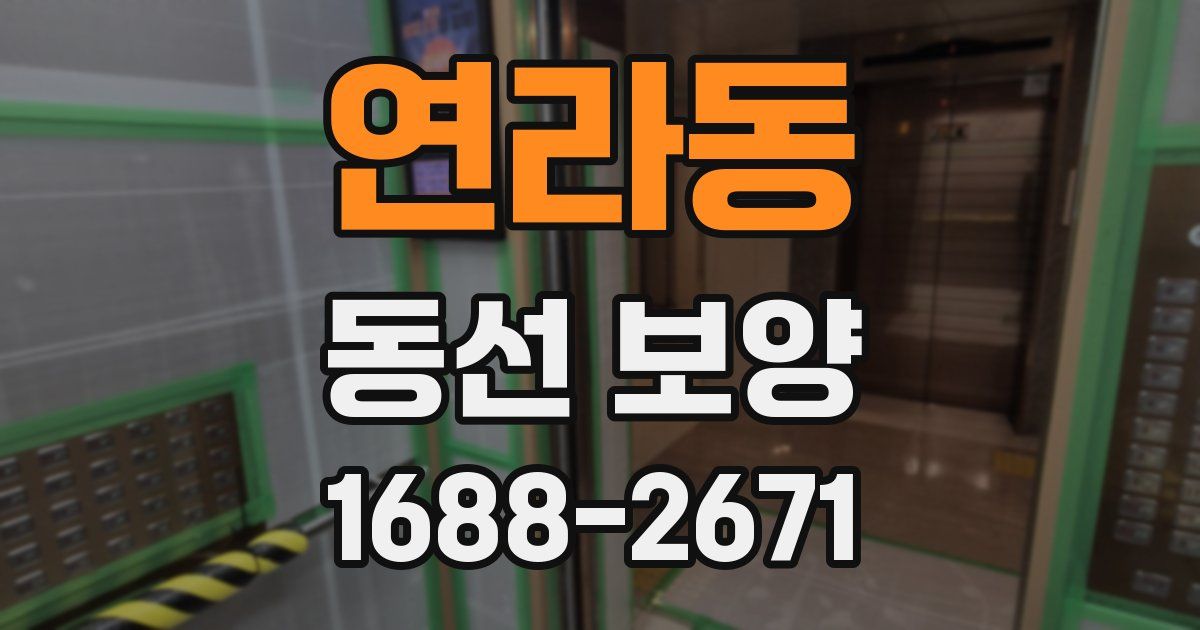 연라동 동선 보양