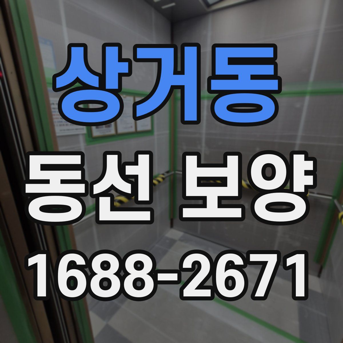 상거동 동선 보양