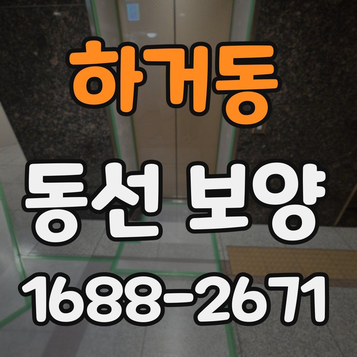 하거동 동선 보양 현장에서는 어떤 점을 먼저 볼까