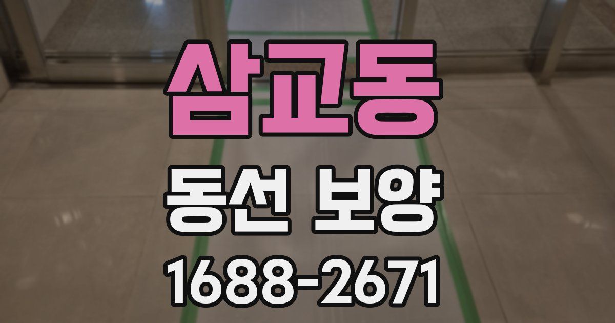 삼교동 동선 보양