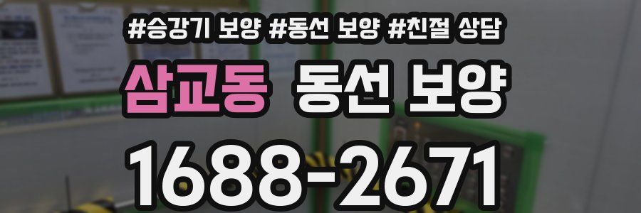 삼교동 동선 보양