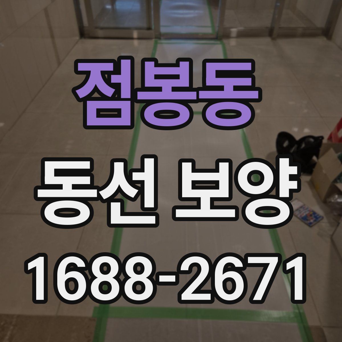 점봉동 동선 보양 공정에서 누락하기 쉬운 단계