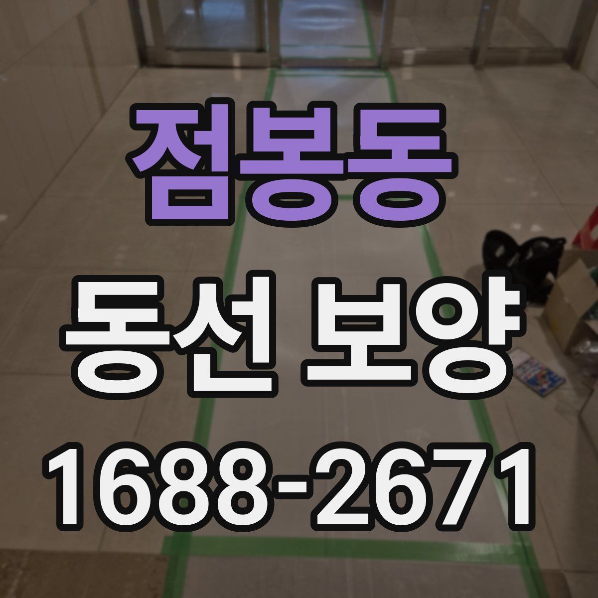 점봉동 동선 보양
