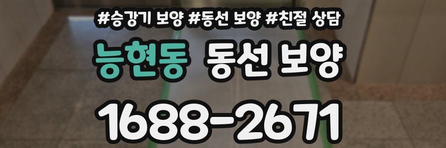 능현동 동선 보양
