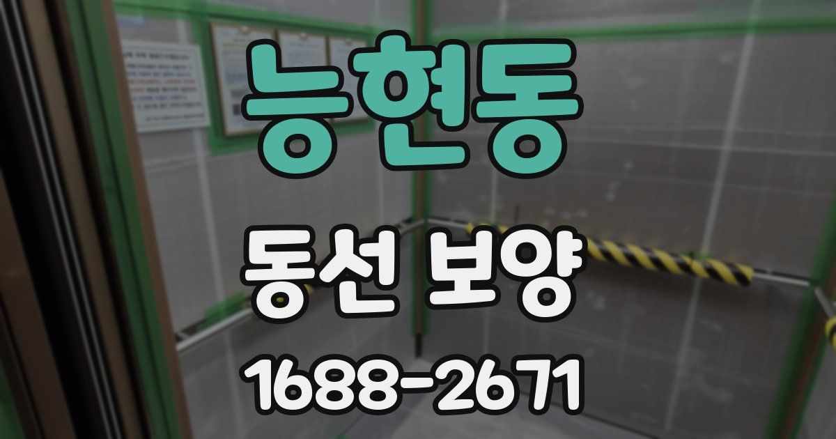 능현동 동선 보양
