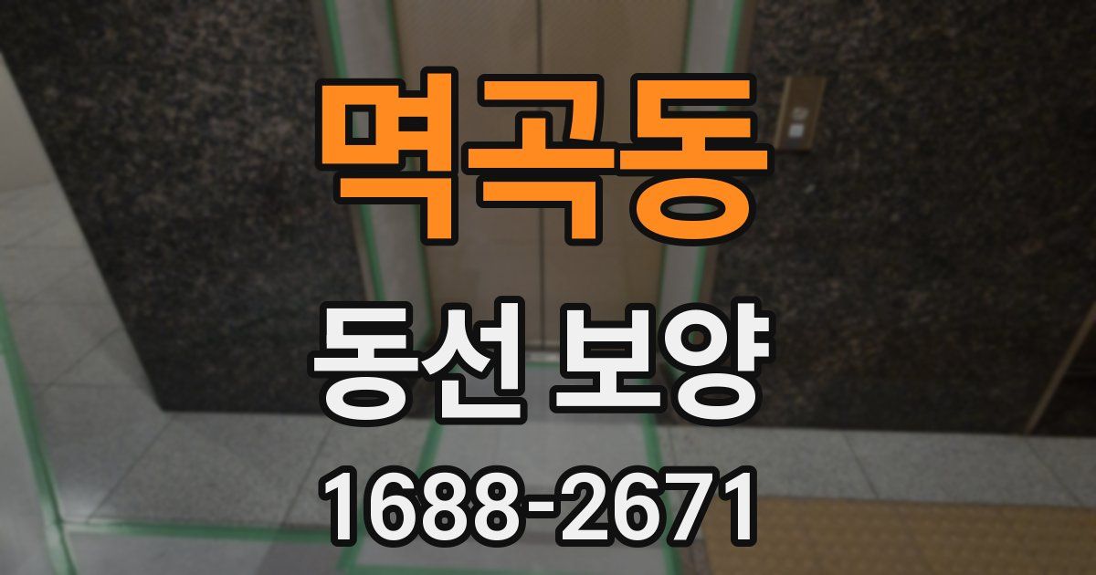 멱곡동 동선 보양