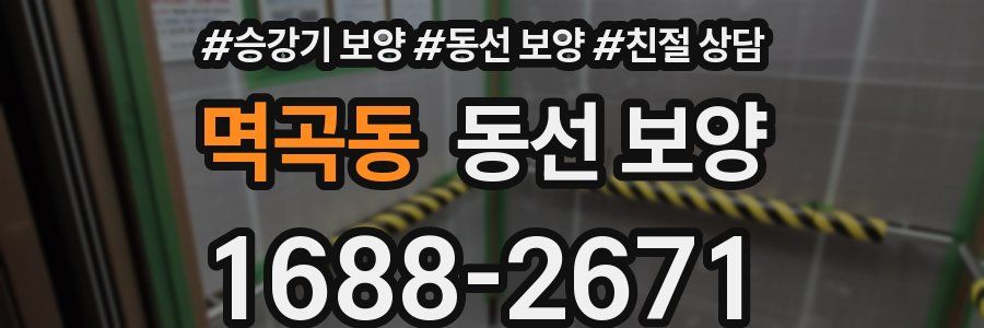 멱곡동 동선 보양