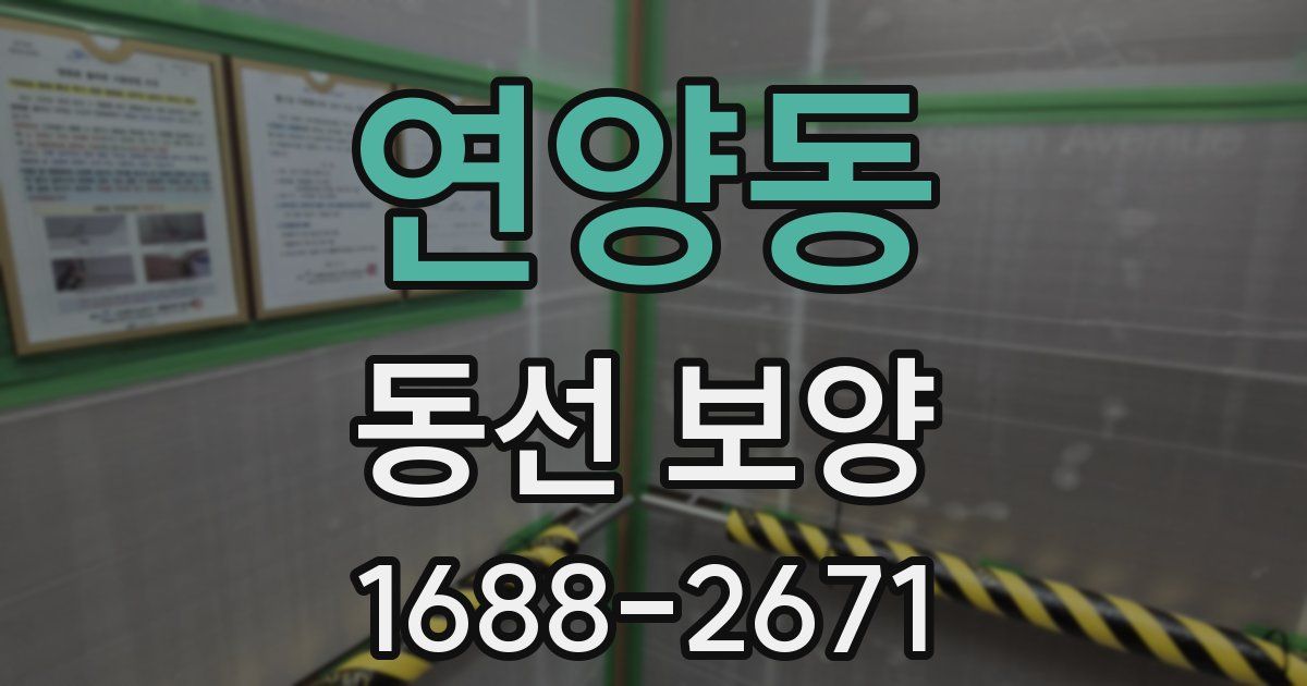연양동 동선 보양