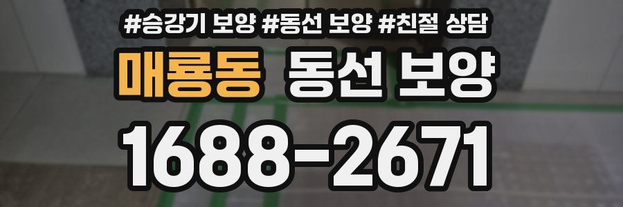 매룡동 동선 보양