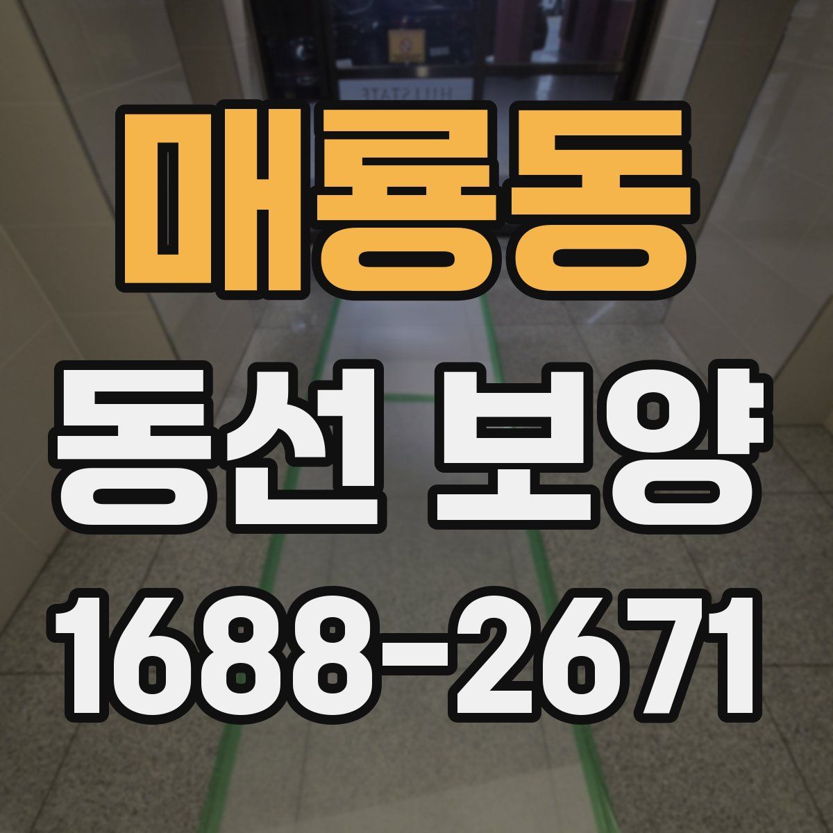 매룡동 동선 보양