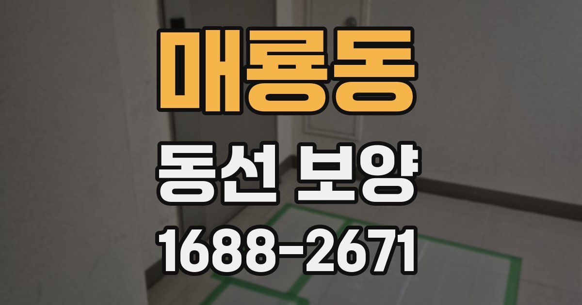 매룡동 동선 보양