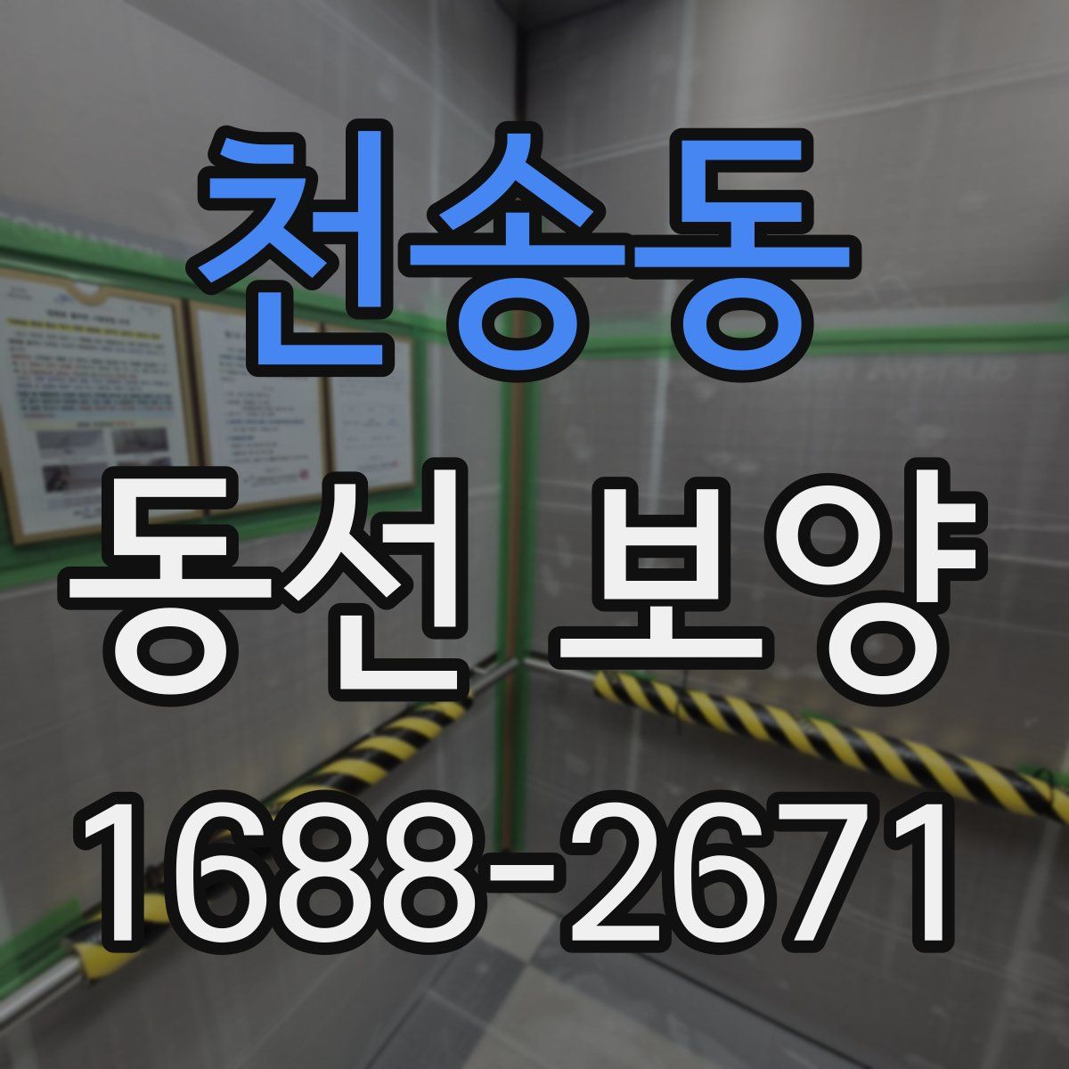 천송동 동선 보양