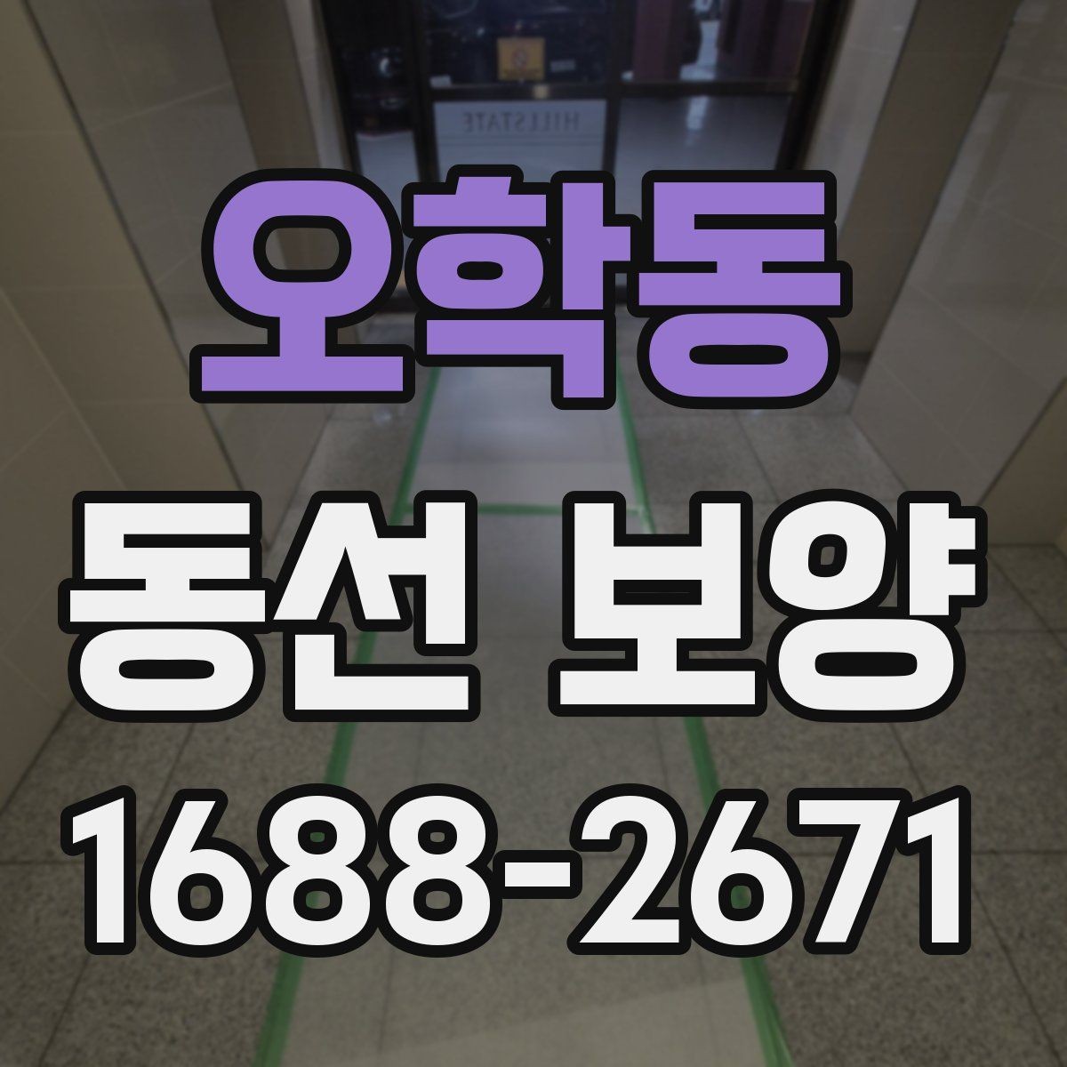 오학동 동선 보양 작업 후 관리 방법 안내