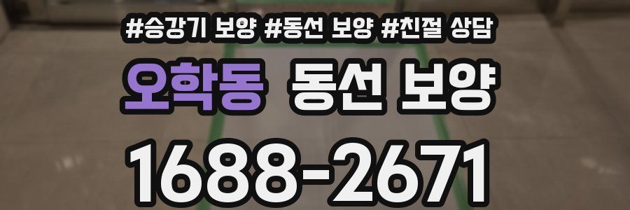 오학동 동선 보양
