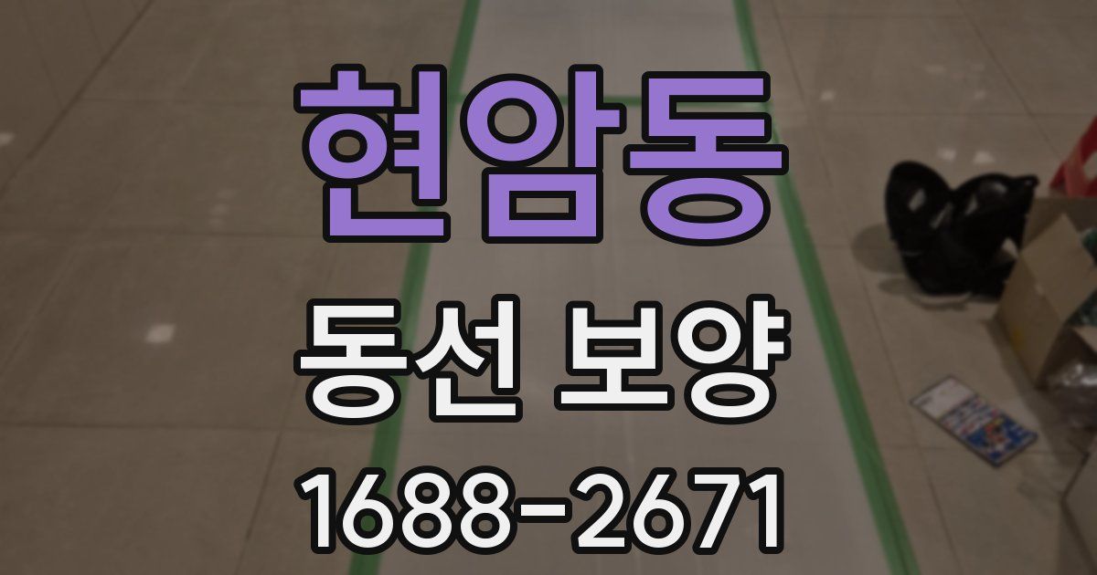 현암동 동선 보양